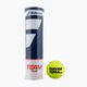Μπαλάκια τένις Babolat Team Clay 4 τεμάχια κίτρινα 502080