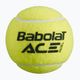 Μπάλες Babolat Ace Padel 3 τεμάχια κίτρινο 501104 2