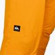 Ανδρικό παντελόνι snowboard Quiksilver Boundry πορτοκαλί EQYTP03144 3