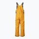 Ανδρικό παντελόνι σκι Picture Testy Bib 10/10 κίτρινο MPT124 2