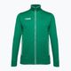 Capelli Basics Adult Training πράσινο/λευκό ανδρικό φούτερ ποδοσφαίρου για ενήλικες