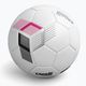 Capelli Tribeca Metro Competition Hybrid Football AGE-5881 μέγεθος 5 4