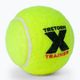 Tretorn X-Trainer 72 μπάλες τένις κίτρινες 3T44 474235 3