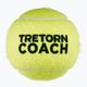 Tretorn Coach 72 μπάλες τένις πράσινες 474402 2