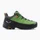 Ανδρικές μπότες πεζοπορίας Salewa Alp Trainer 2 GTX πράσινο 00-0000061400 2