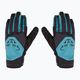 DYNAFIT Radical 2 Softshell skit γάντια μπλε καταιγίδα 3