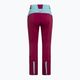 Γυναικείο παντελόνι σκι DYNAFIT Radical 2 GTX ροζ 08-0000071359 4