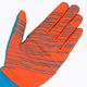 DYNAFIT Ανακυκλωμένο θερμικό γάντι σκι μπλε-κόκκινο 08-0000071369 5
