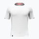 Ανδρικό Salewa Pedroc Dry Mesh T-shirt λευκό 4