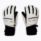 Γάντια σκι Reusch Tomke Stormbloxx λευκά 49/31/112/1101 2