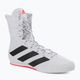 Παπούτσια πυγμαχίας adidas Box Hog 3 λευκό και μαύρο GV9975