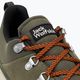 Jack Wolfskin ανδρικές μπότες πεζοπορίας Terraventure Urban Low πράσινο 4055381 9