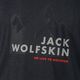 Ανδρικό Jack Wolfskin Hiking Graphic γκρι T-shirt 1808761_6230 6