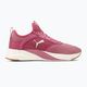 Γυναικεία παπούτσια για τρέξιμο PUMA Softride Ruby pink 377050 04 2