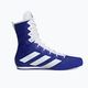 Παπούτσια πυγμαχίας adidas Box Hog 4 navy blue HP9612 10