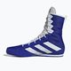 Παπούτσια πυγμαχίας adidas Box Hog 4 navy blue HP9612 11