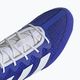 Παπούτσια πυγμαχίας adidas Box Hog 4 navy blue HP9612 16