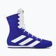 Παπούτσια πυγμαχίας adidas Box Hog 4 navy blue HP9612 2