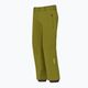 Ανδρικό παντελόνι σκι Descente Roscoe λαδί πράσινο 3