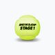 Dunlop Stage 1 παιδικές μπάλες τένις 3 τεμάχια πράσινες 601338 3