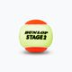 Dunlop Stage 2 παιδικές μπάλες τένις 3 τεμάχια πορτοκαλί/κίτρινο 601339 3