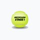 Dunlop Stage 1 παιδικές μπάλες τένις 60 τμχ πράσινες 601342 2