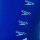 Speedo Boom Logo Splice Muscleback γυναικείο ολόσωμο μαγιό G008 μπλε 12900G008 3