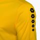 Mizuno Soukyu SS ανδρικό πουκάμισο προπόνησης κίτρινο X2EA750045 4