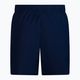 Ανδρικό μαγιό Nike Essential 5" Volley navy blue NESSA560-440