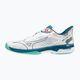 Ανδρικά παπούτσια τένις Mizuno Wave Exceed Tour 5CC λευκό 61GC2274 9