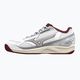Γυναικεία παπούτσια τένις Mizuno Break Shot 4 AC λευκό 61GA232664 10