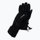 Ανδρικά γάντια σκι Viking Hudson GTX μαύρο 160/22/8282/09