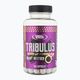 Ενισχυτικό τεστοστερόνης Real Pharm Tribulus 1000mg 60 κάψουλες 714053