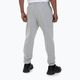 Ανδρικά παντελόνια Pitbull West Coast Track Pants Athletic grey/melange 3