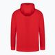 Ανδρικό φούτερ Pitbull West Coast Skylark Hooded Sweatshirt red 10