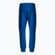 Ανδρικά παντελόνια Pitbull West Coast Pants Alcorn royal blue 2