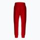 Ανδρικά παντελόνια Pitbull West Coast Pants Alcorn red 8