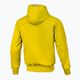 Ανδρικό μπουφάν Pitbull West Coast Athletic με κουκούλα από νάιλον κίτρινο 2