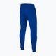 Ανδρικά παντελόνια Pitbull West Coast Durango Jogging 210 royal blue 2