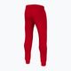 Pitbull West Coast ανδρικό New Hilltop Jogging παντελόνι κόκκινο 4