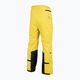 Ανδρικό παντελόνι σκι 4F κίτρινο H4Z22-SPMN006 7