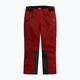 Ανδρικό παντελόνι σκι 4F M343 σκούρο κόκκινο 8