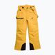 Παιδικό παντελόνι σκι 4F M360 κίτρινο 5