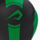 Overlord Boxer Gloves μαύρο-πράσινο 100003-GR 5