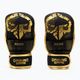 Ground Game MMA Cage Gold γάντια προπόνησης μαύρο MMAGLOCGOLDSM