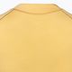 Arc'teryx γυναικείο θερμικό T-shirt Rho Wool LS Crew κίτρινο X000006251029 4