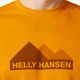 Ανδρικό Helly Hansen HH Tech Graphic trekking πουκάμισο κίτρινο 63088_328 3