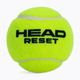 HEAD Reset Polybag μπάλες τένις 72 τμχ πράσινες 575030 2