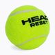 HEAD Reset Polybag μπάλες τένις 72 τμχ πράσινες 575030 3