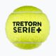 Μπάλες τένις Tretorn Serie+ 4 τεμ. 3T01 2